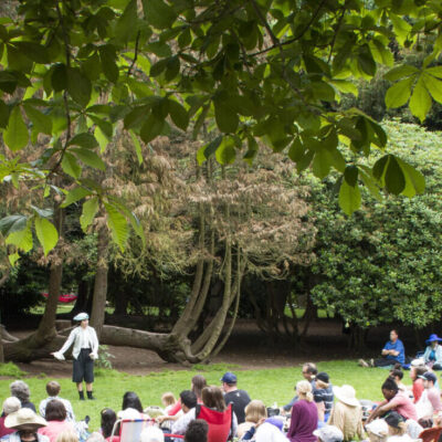 Twelfth Night BYB - 2016