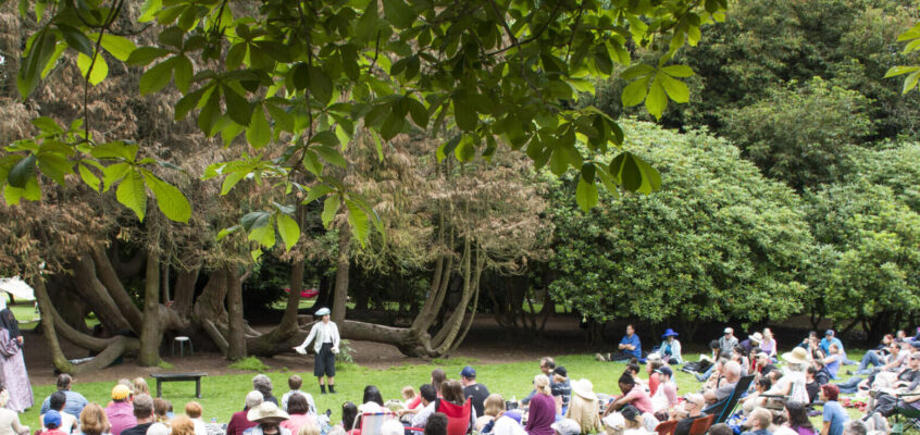 Twelfth Night BYB - 2016